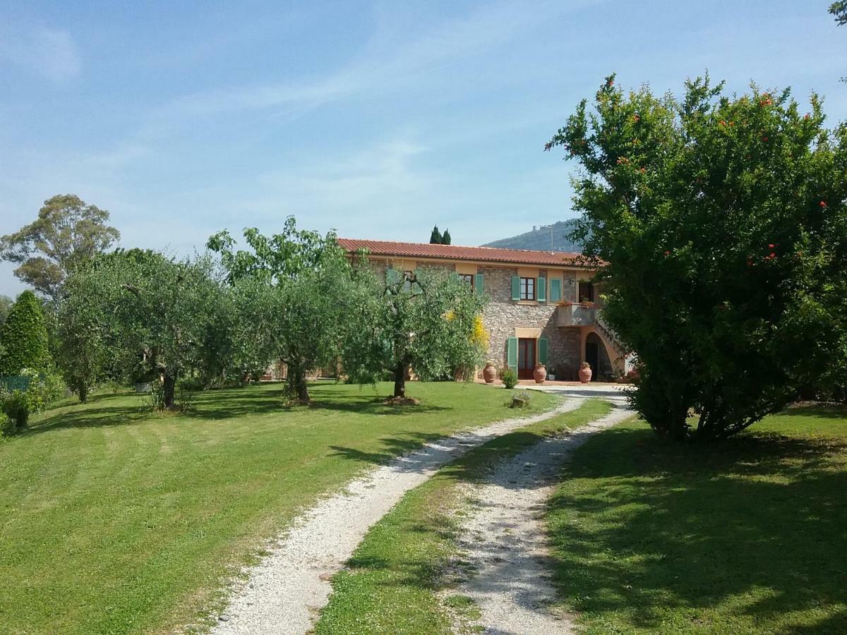 Locazione Turistica La Ginestra Διαμέρισμα Monsummano Terme Εξωτερικό φωτογραφία